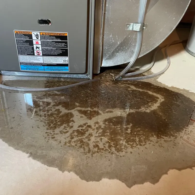 Appliance Leak Cleanup in North Wilkesboro, NC